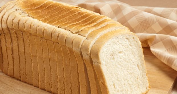 brood.jpg